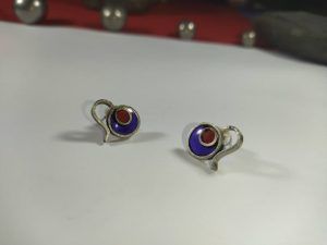 Caravanas Onda Vital